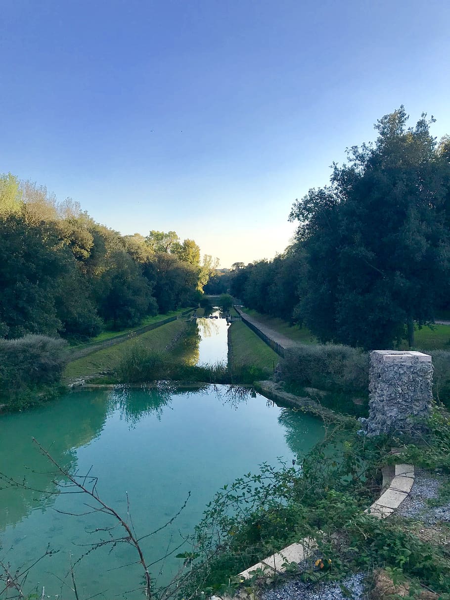 italy, rome, plant, water, tree, sky, nature, reflection, tranquility HD wallpaper