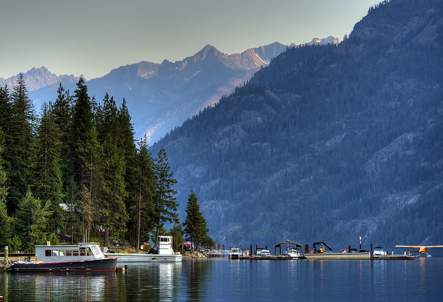Body of Water Near Mountain Covered by Trees With Grey Clouds Above during Daytime HD wallpaper