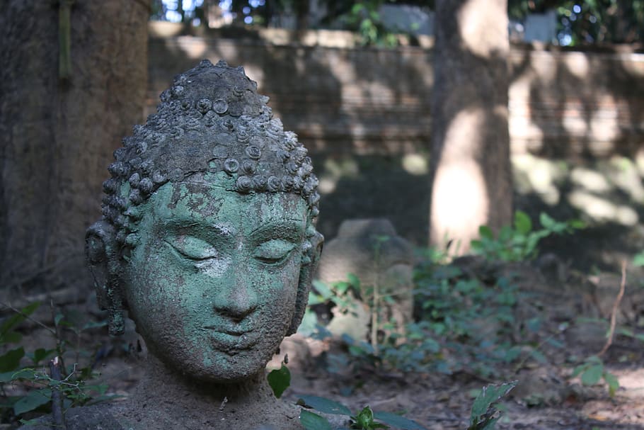 buddha, rock, old, neck, thailand, moss, statue, head, face HD wallpaper