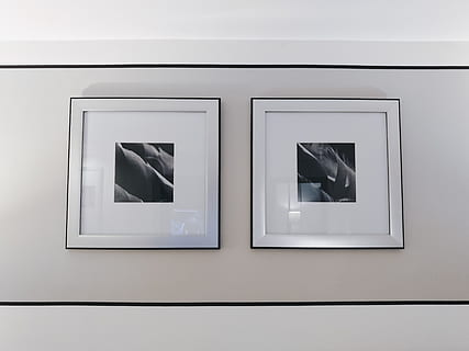 Two Gray and Black Flower Paintings on Wall Inside the Room, indoors HD wallpaper