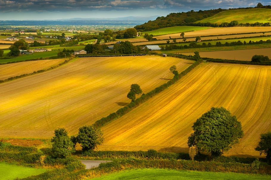 landscape, fields, agriculture, nature, panorama, village, hill HD wallpaper