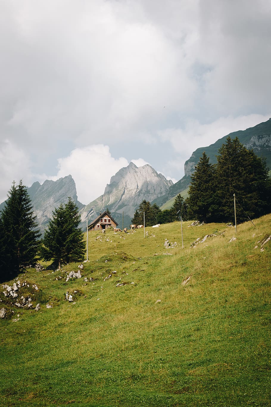mountain peak during daytime, outdoors, nature, field, alps, grassland HD wallpaper