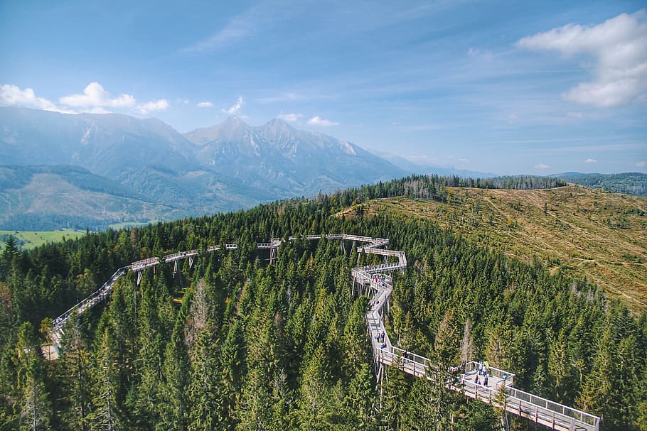 Bird'es Eye View of Mountains, 4k wallpaper, bridge, clouds, conifers HD wallpaper