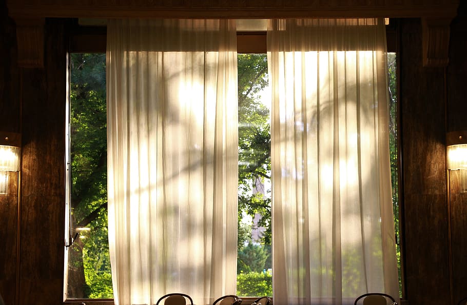 sunshine, window, peaceful, afternoon, meditation, plant, no people HD wallpaper