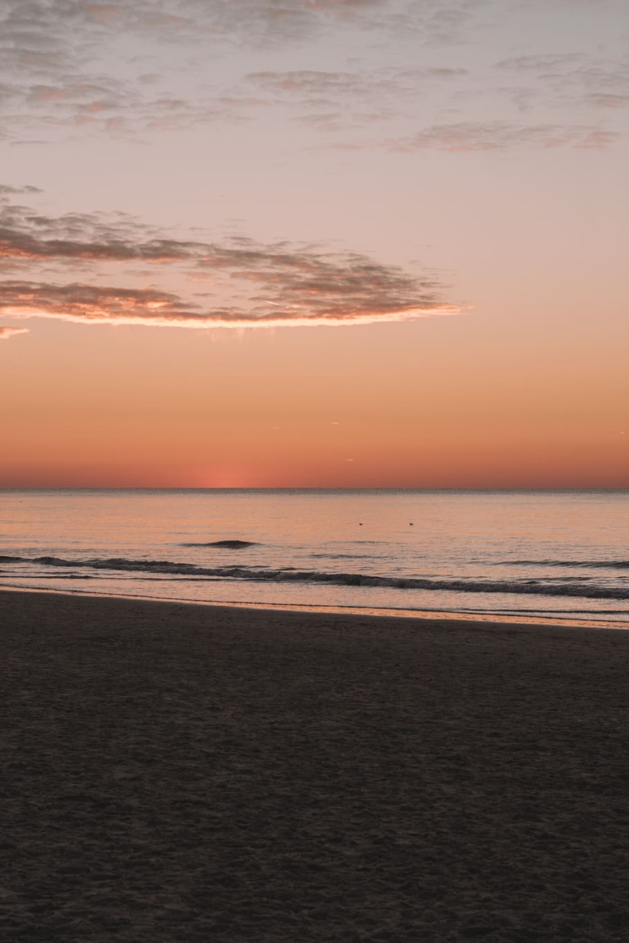 seashore under orange sky, nature, outdoors, sunset, beach, water HD wallpaper