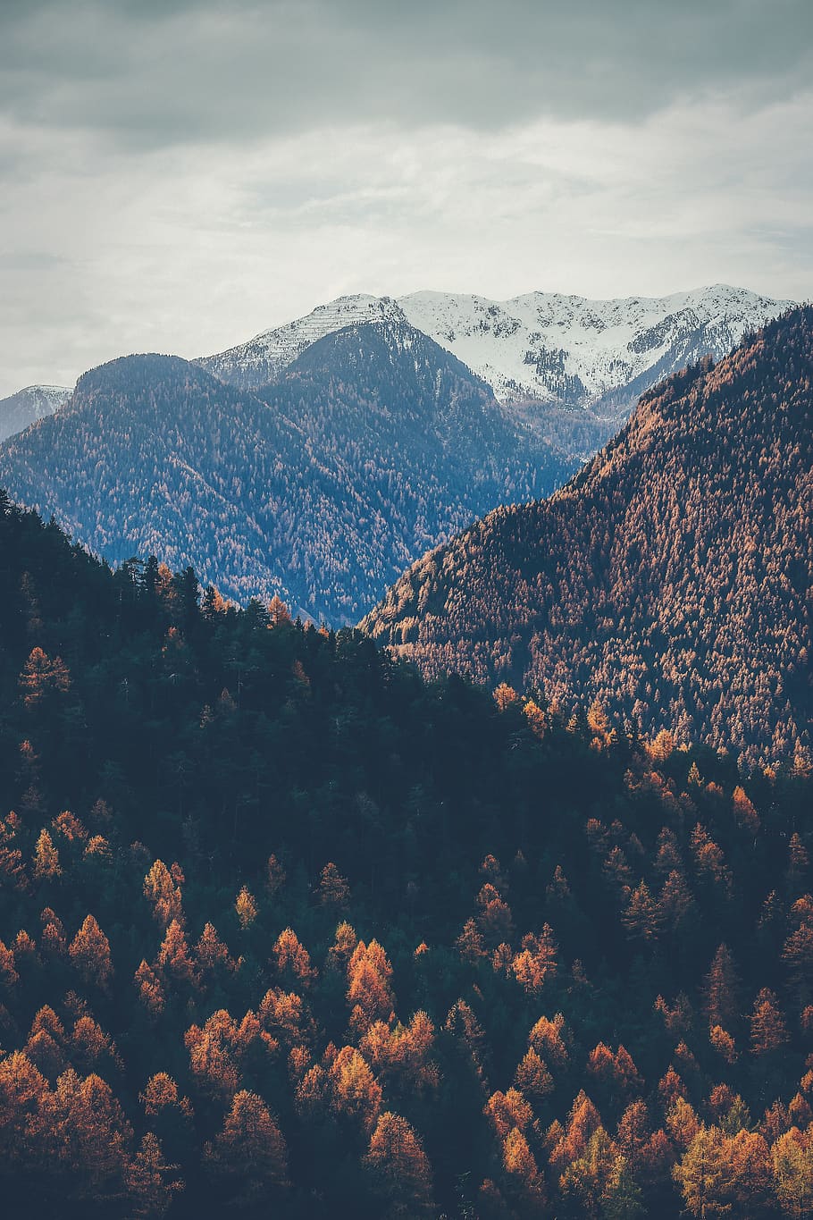 brown trees near mountains under cloudy sky, scenics - nature HD wallpaper