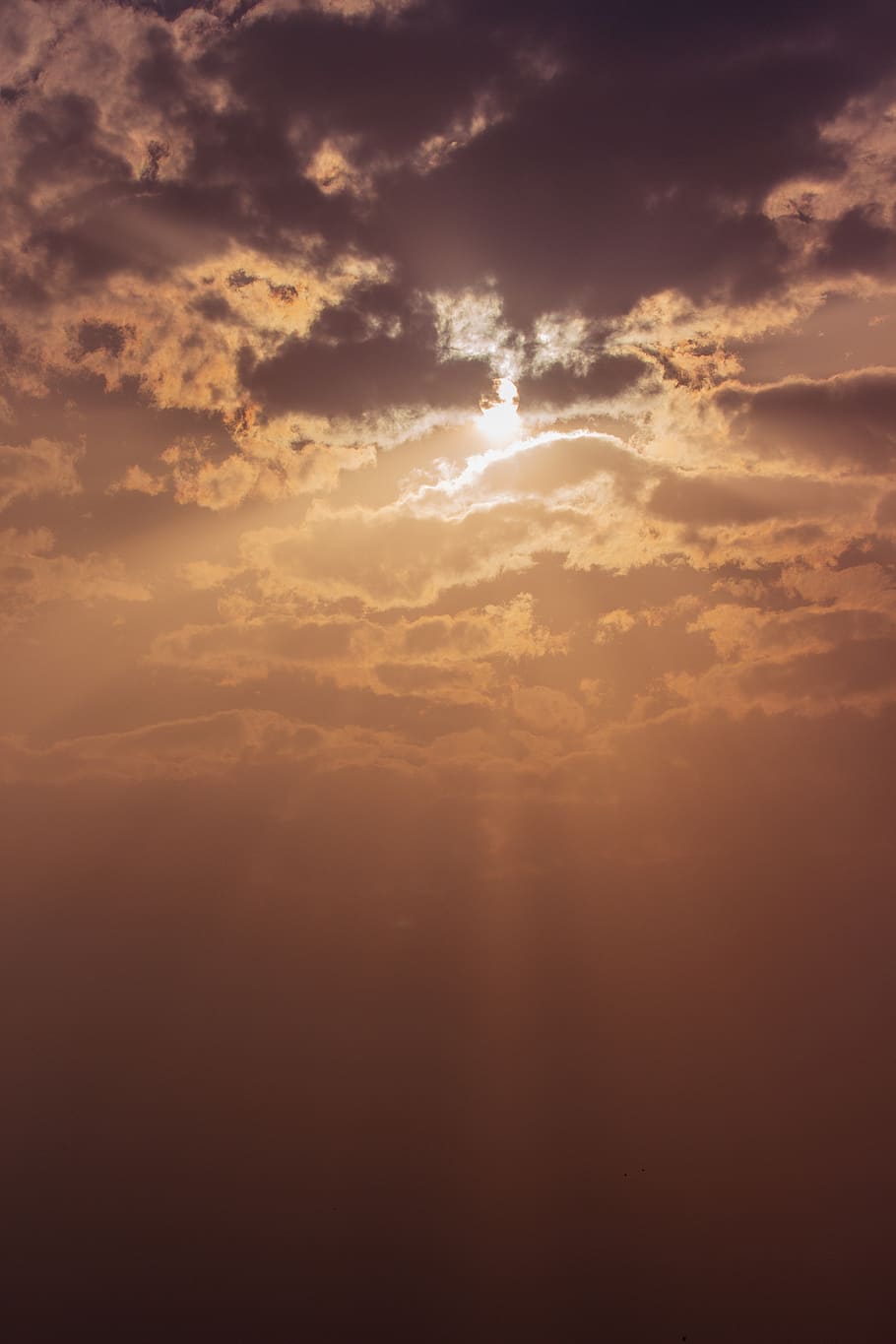 sunlight, nature, outdoors, flare, india, sky, sunset, gandhinagar HD wallpaper