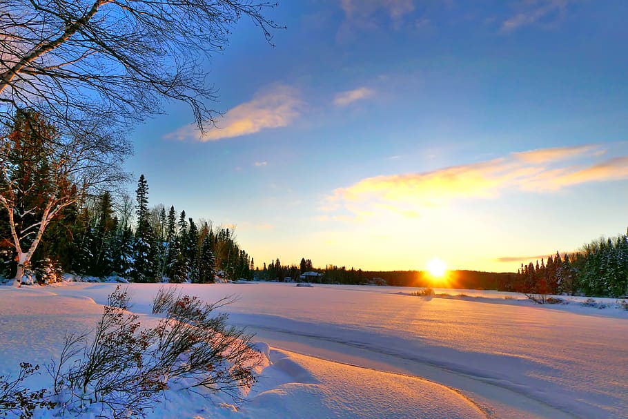 sunset, winter, snow, cold, gel, trees, birch, fir, twilight HD wallpaper