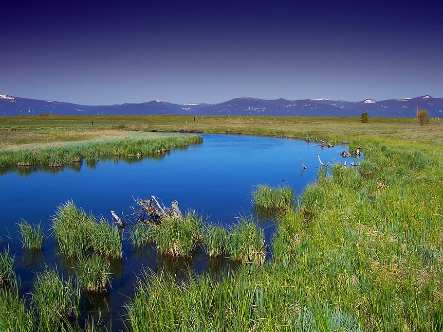 Green Grass and Body of Water, landscape, marsh, mountain range HD wallpaper