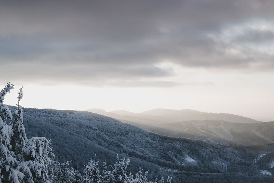 sunset, winter, wallpapers, mountains, nature, tree, trees HD wallpaper