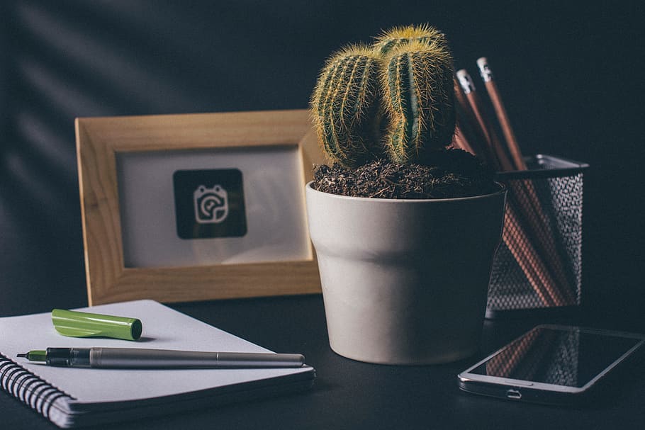 cactus, office, desk, notebook, notepad, pens, pencil, smartphone, HD wallpaper