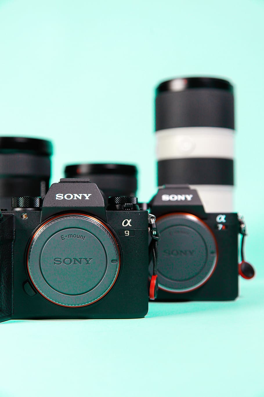 two Sony DSLR cameras, close-up, indoors, no people, colored background HD wallpaper