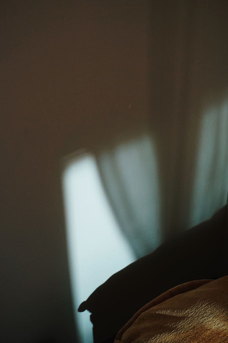 human, person, face, finger, home decor, window, electronics HD wallpaper