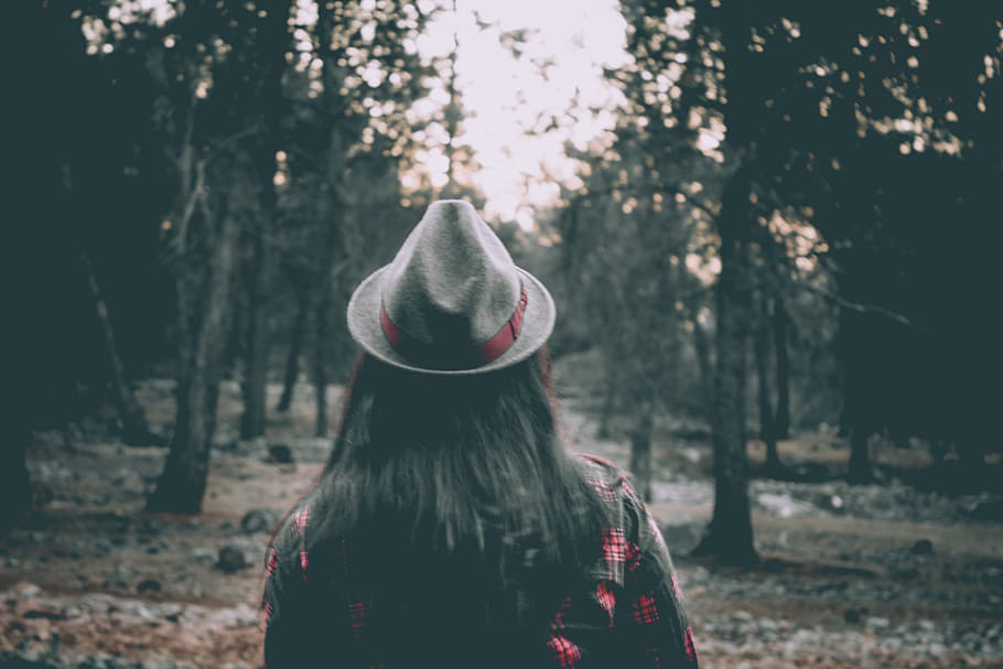 spain, alomartes, trees, hat, forest, sunset, sky, nature, land HD wallpaper