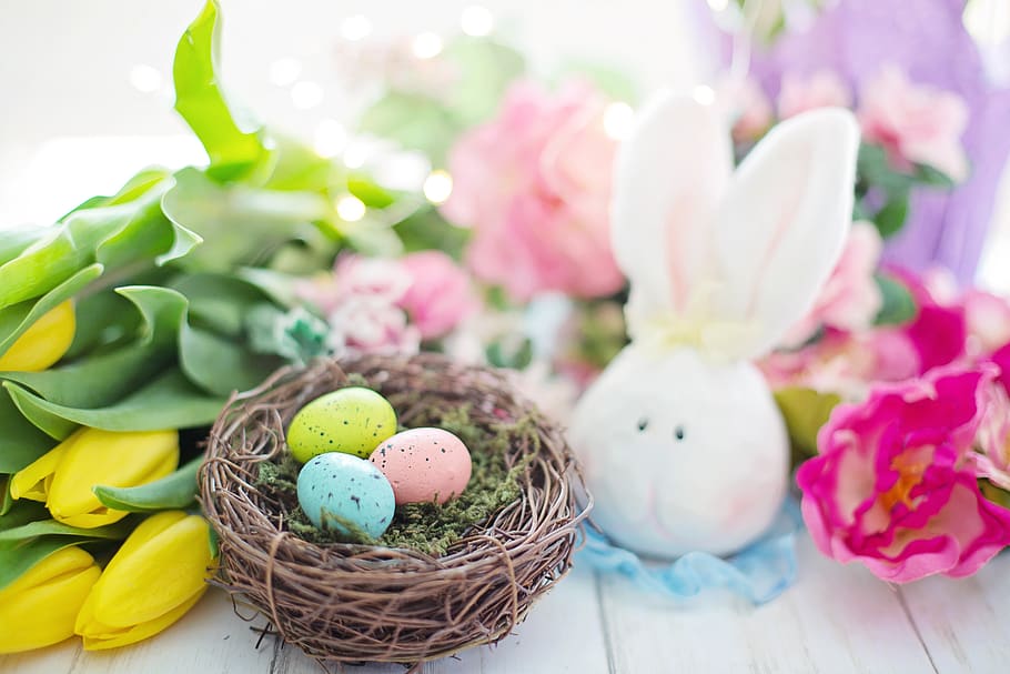 easter, nest, eggs, flowers, colorful, spring, pastels, still life HD wallpaper