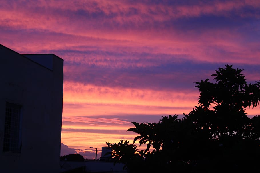 sunset, brazil, colors, blue, purple, pink, evening, nature HD wallpaper