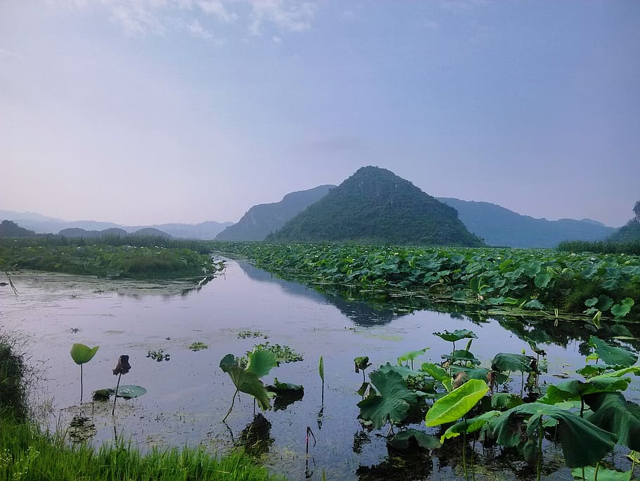 lake, lotus, water, mountain, sky, beauty in nature, scenics - nature HD wallpaper