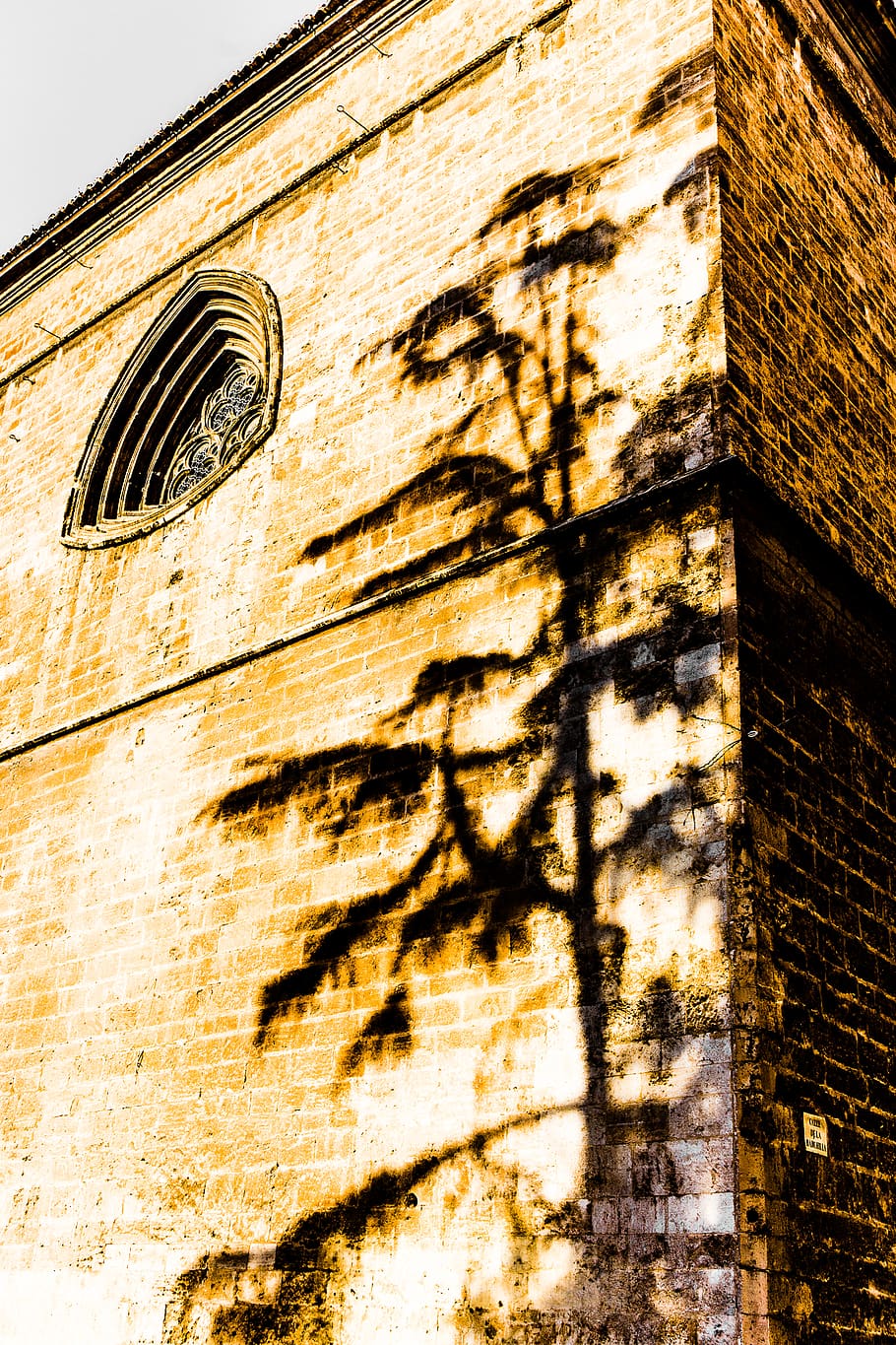 spain, valencia, tree, shadow, cathedral, contrast, building exterior HD wallpaper