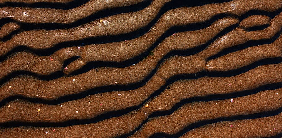 sand, mud, brown, ripple, shell, texture, wave, wavy, undulation