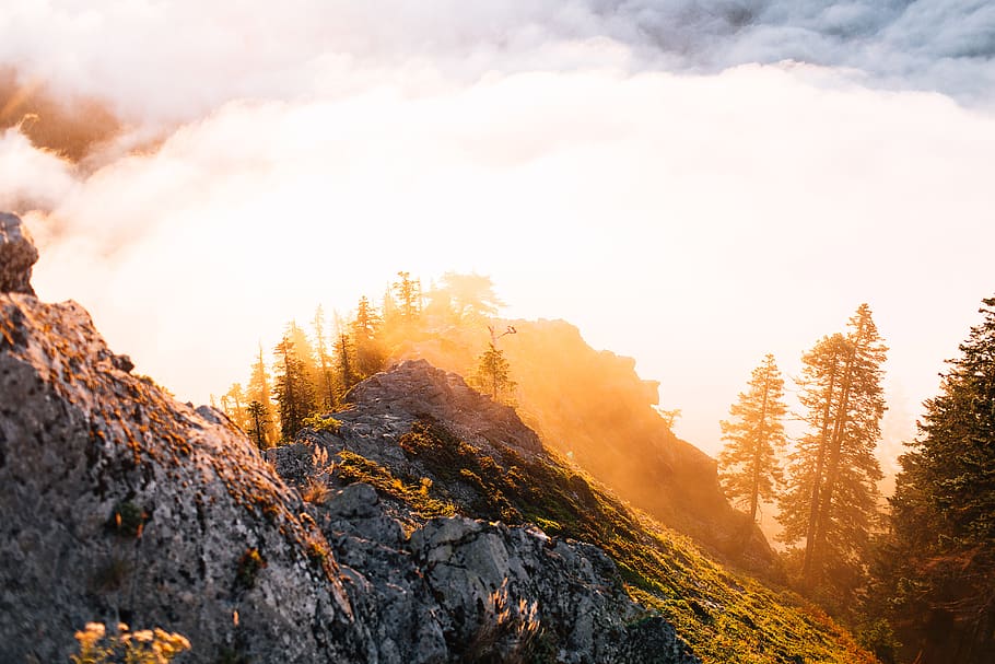 viewpoint, hike, mountain, tree, beauty in nature, plant, scenics - nature HD wallpaper