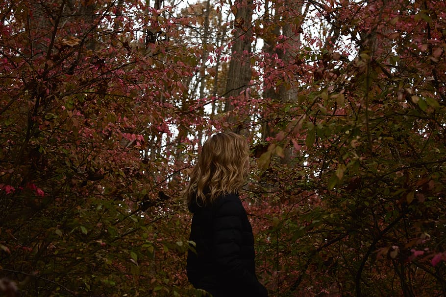 trees, forest, fall, autumn, november, branches, girl, woman HD wallpaper