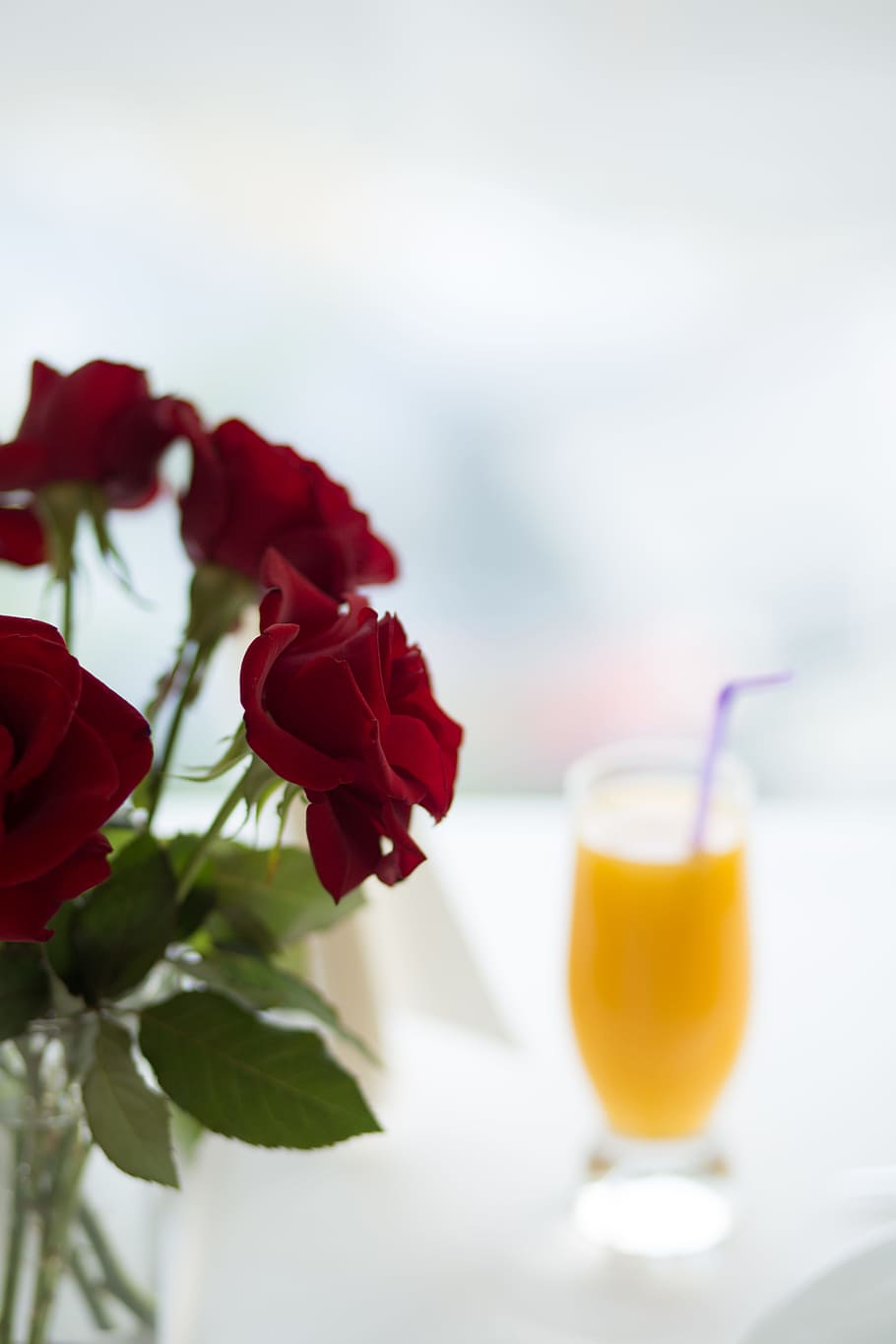 Selective-focus Photo of Red Roses, bloom, blooming, blossom HD wallpaper