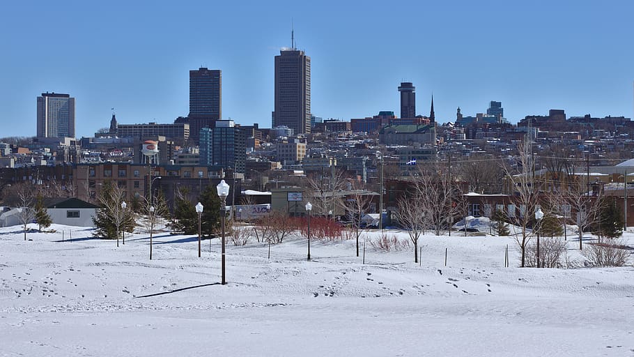 canada, québec, snow, cityscape, white, winter, landscape HD wallpaper