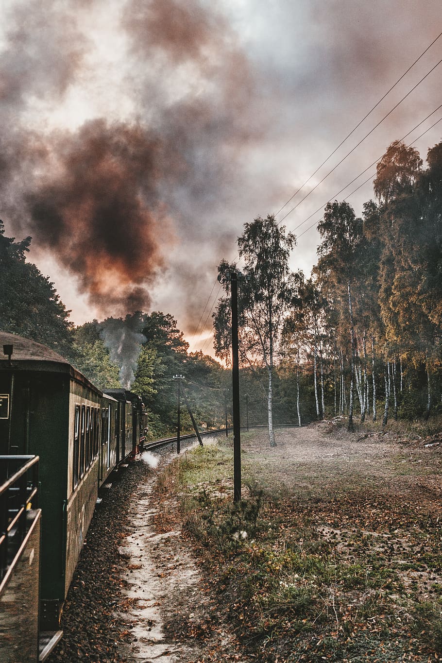train surrounded by trees, sky, plant, nature, no people, direction HD wallpaper