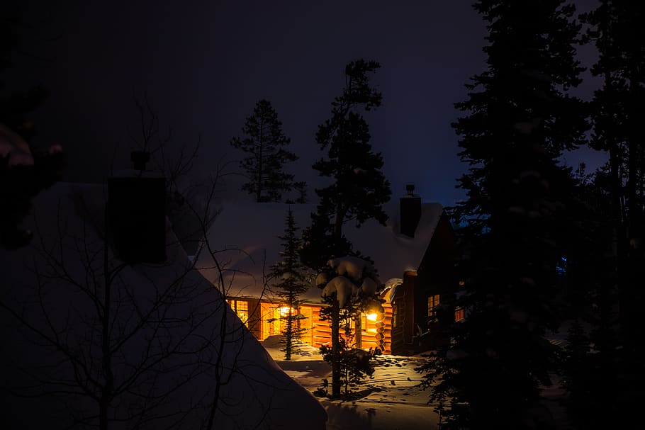 lighted lamp on house, plant, tree, silhouette, nature, abies HD wallpaper