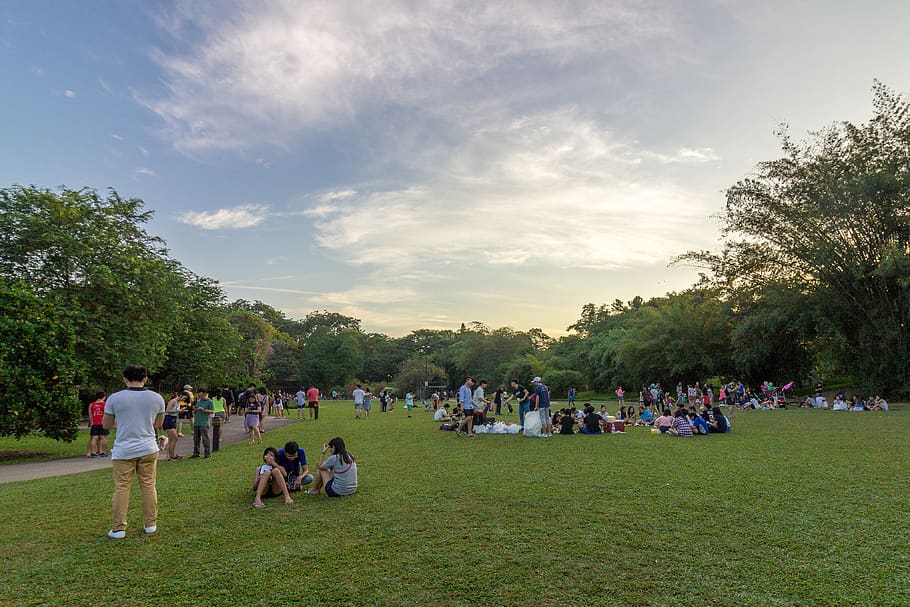 singapore, people, green, botanic gardens, sunday, evening, HD wallpaper