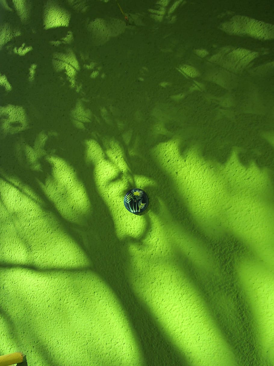 Round Green and White Button, abstract, art, close-up, flora HD wallpaper