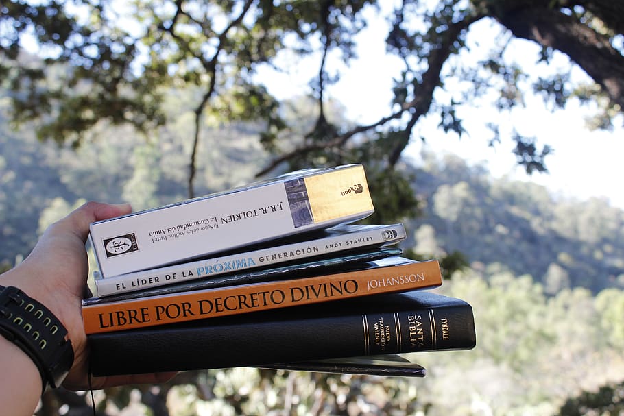 bible, books, reading, mountain, trees, forest, human hand HD wallpaper