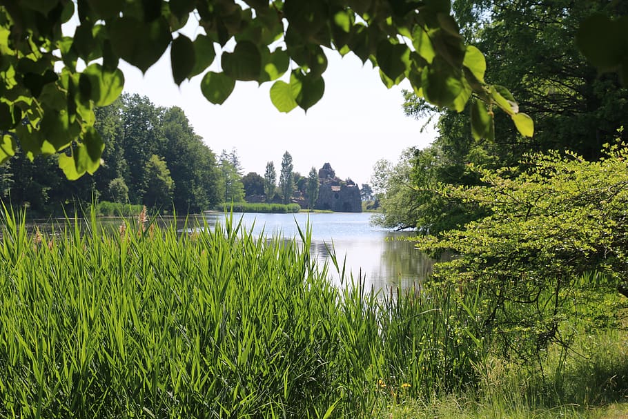 green, park, nature, spring, landscape, perspective, awakening HD wallpaper