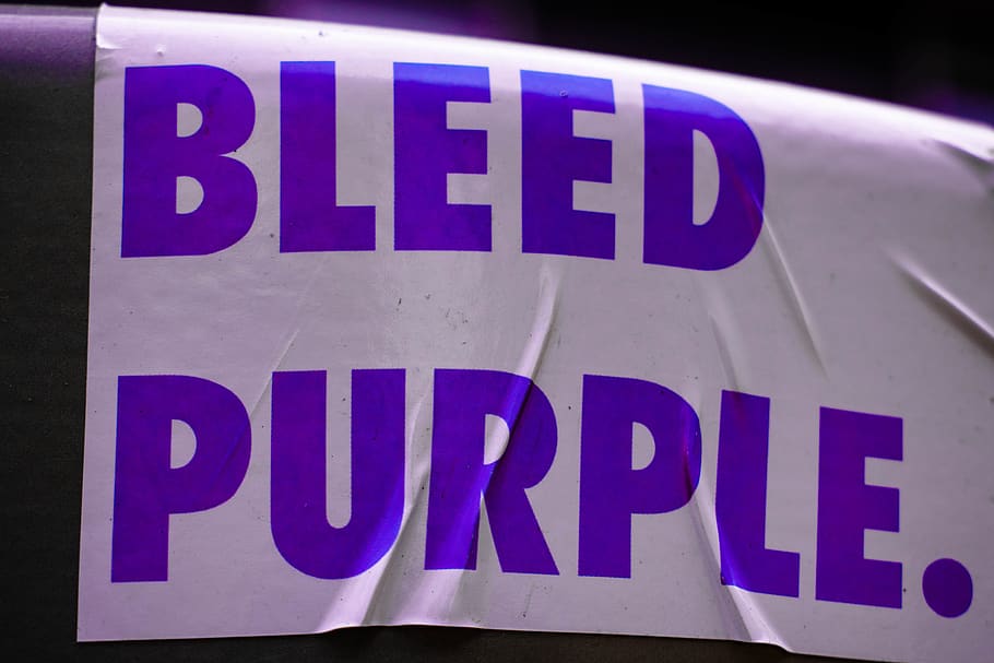 bleed, purple, bold lettering, words, sign, school spirit, micro photography HD wallpaper