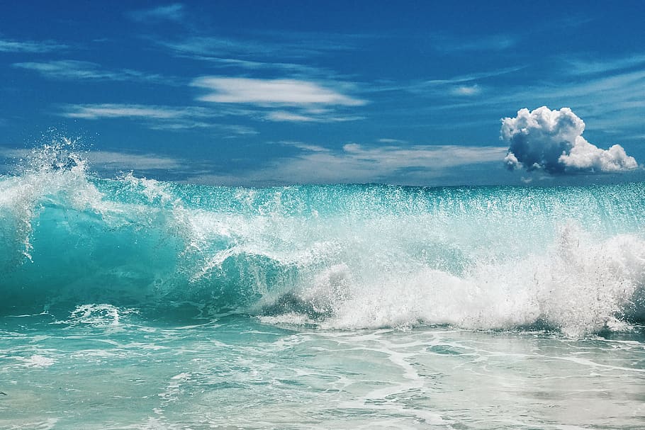 waves, water, sea, motion, power, sport, power in nature, beauty in nature HD wallpaper