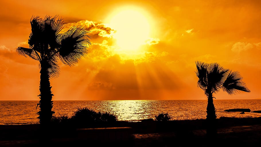 sunset, silhouetted, dusk, nature, evening, seashore, sunlight HD wallpaper