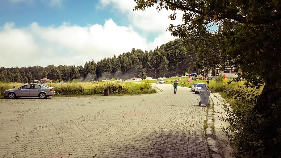 trees, forest, sky, cloud, transportation, mode of transportation HD wallpaper