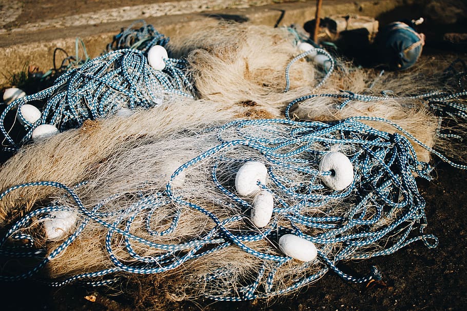 HD wallpaper: white and brown fish net, fishing net, fishing industry