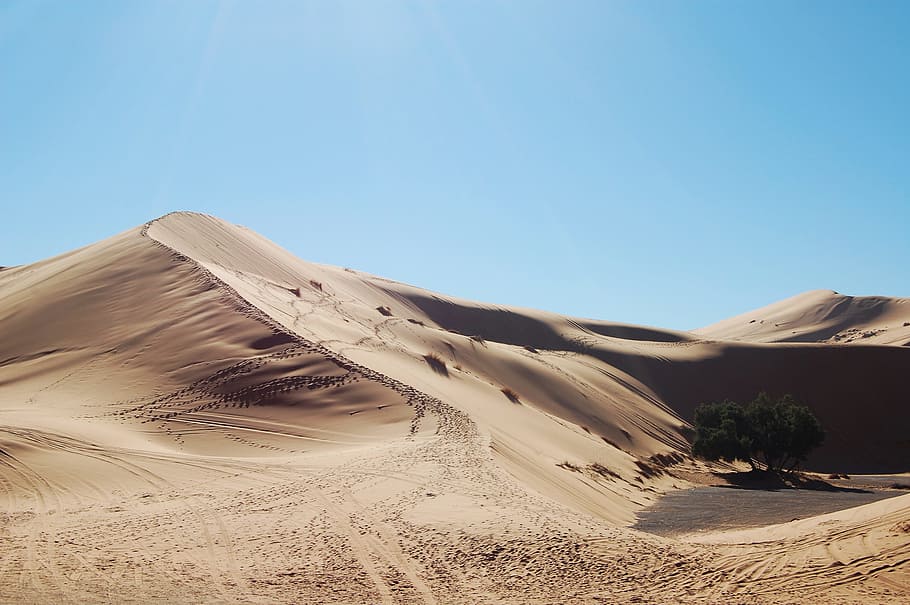 empty desert during daytime, dune, sand, sky, tree, sahara, dry