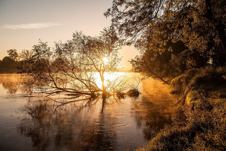 nature, dawn, tree, sunset, reflection, loire, fleuve, france HD wallpaper