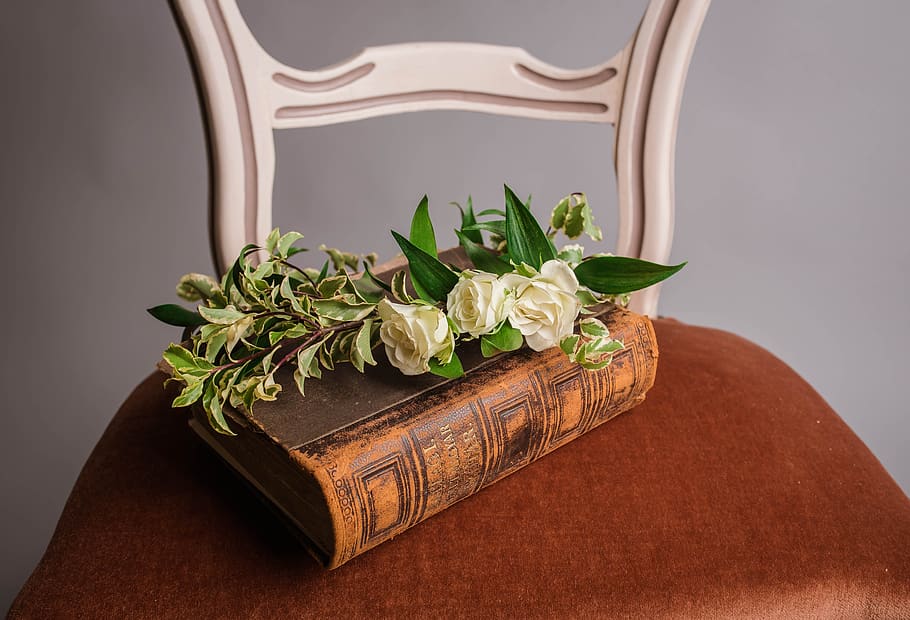 chair, flower, book, scripture, plant, leaf, indoors, plant part HD wallpaper