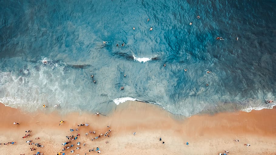 Aerial Photography of People on Beach, aerial shot, bird's eye view