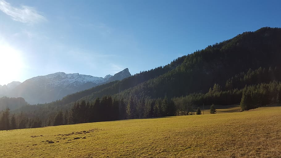 meadow, alps, nature, sun, panorama, tree, sky, plant, beauty in nature HD wallpaper