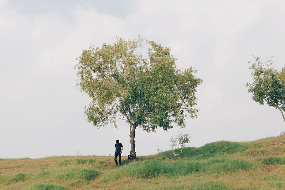 scene, trees, minimal, minimalism, nature, landscape, people HD wallpaper