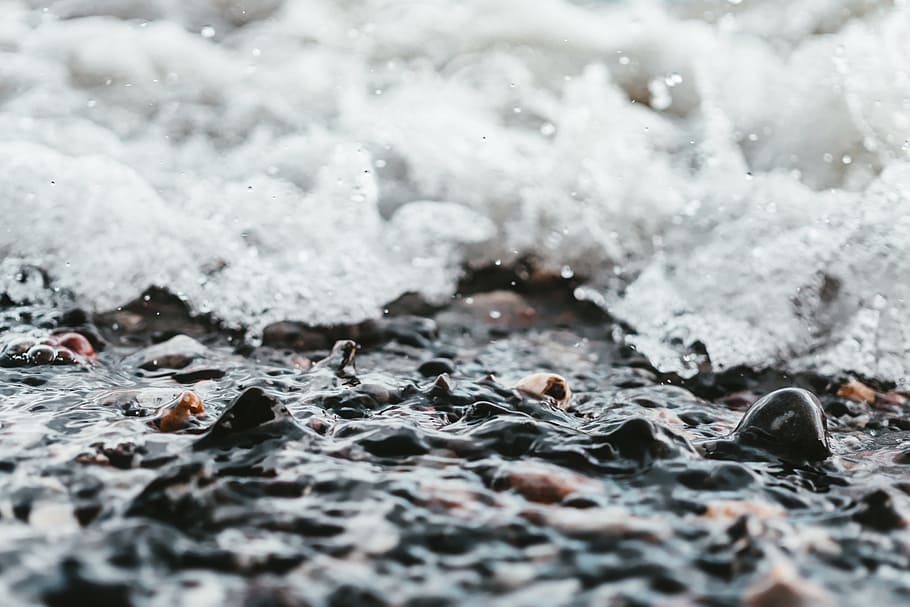 Selective Focus Photo of Body of Water, beach, close-up, h2o HD wallpaper