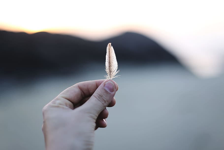 selective focus of person holding feather, hand, finger, thumb HD wallpaper