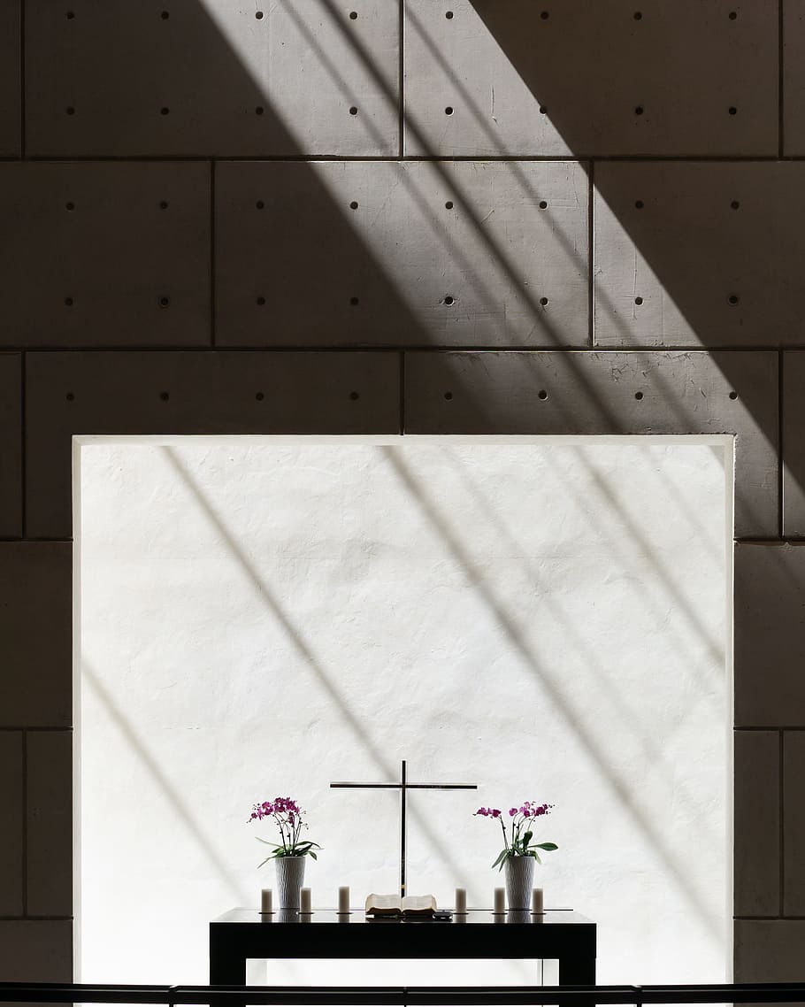 purple flowers iin vases on black wooden table, abstract, building HD wallpaper