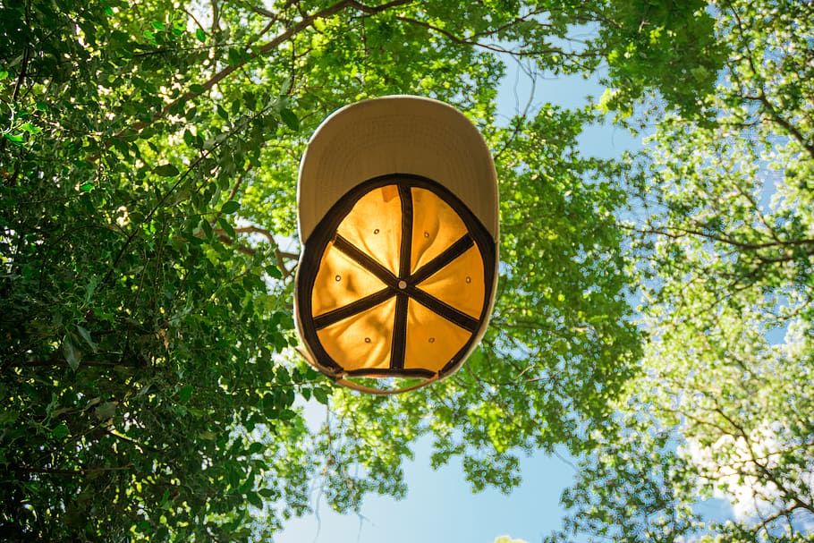 Tree hat