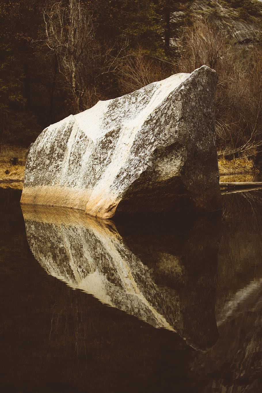 gray rock formation at river beside leafless tree, no people HD wallpaper