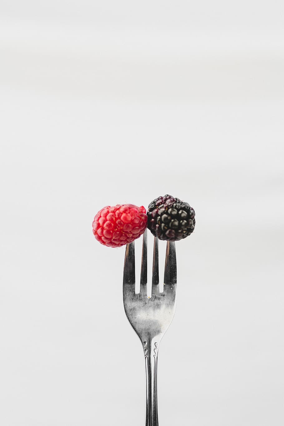 fuite, black berries, raspberries, food photography, minimalist, HD wallpaper